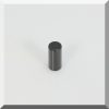 D6x13 mm. N40 Epoxy D6x13 mm. N40 Epoxy